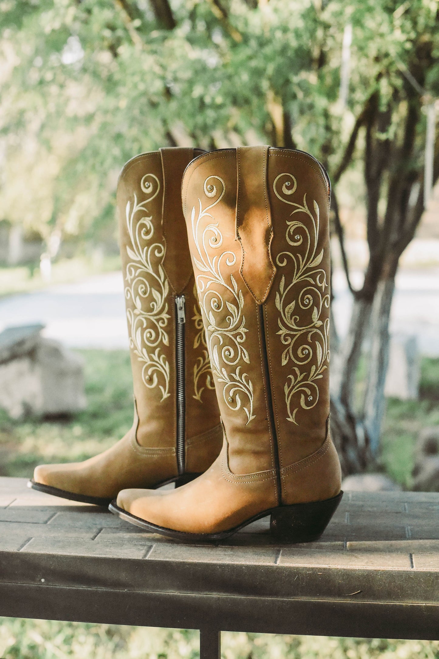 Western boots Honey
