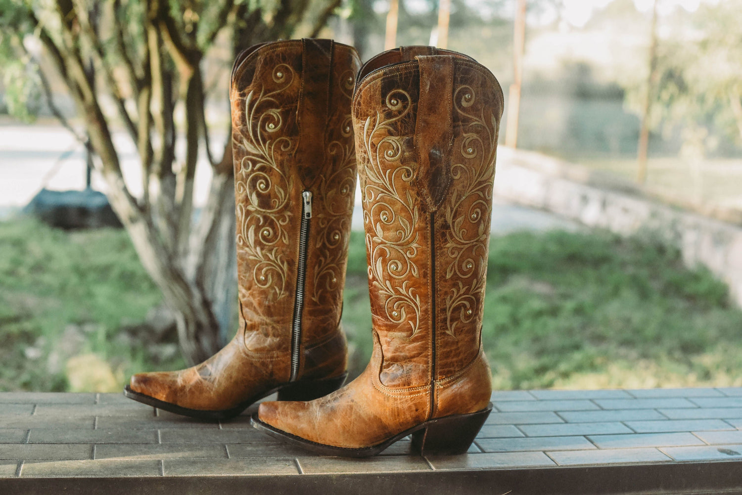 WOMAN BOOTS